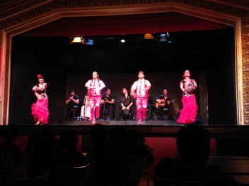 Palacio del Flamenco (Flamenco Show)