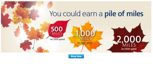AAdvantage miles e-Shopping Fall 2014 promotion